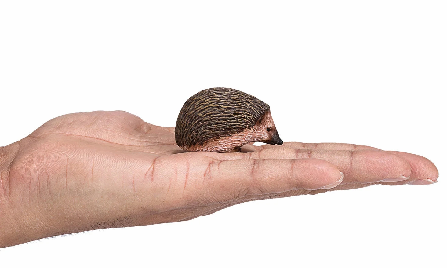 Mojo 387035 Wildlife Hedgehog Figure