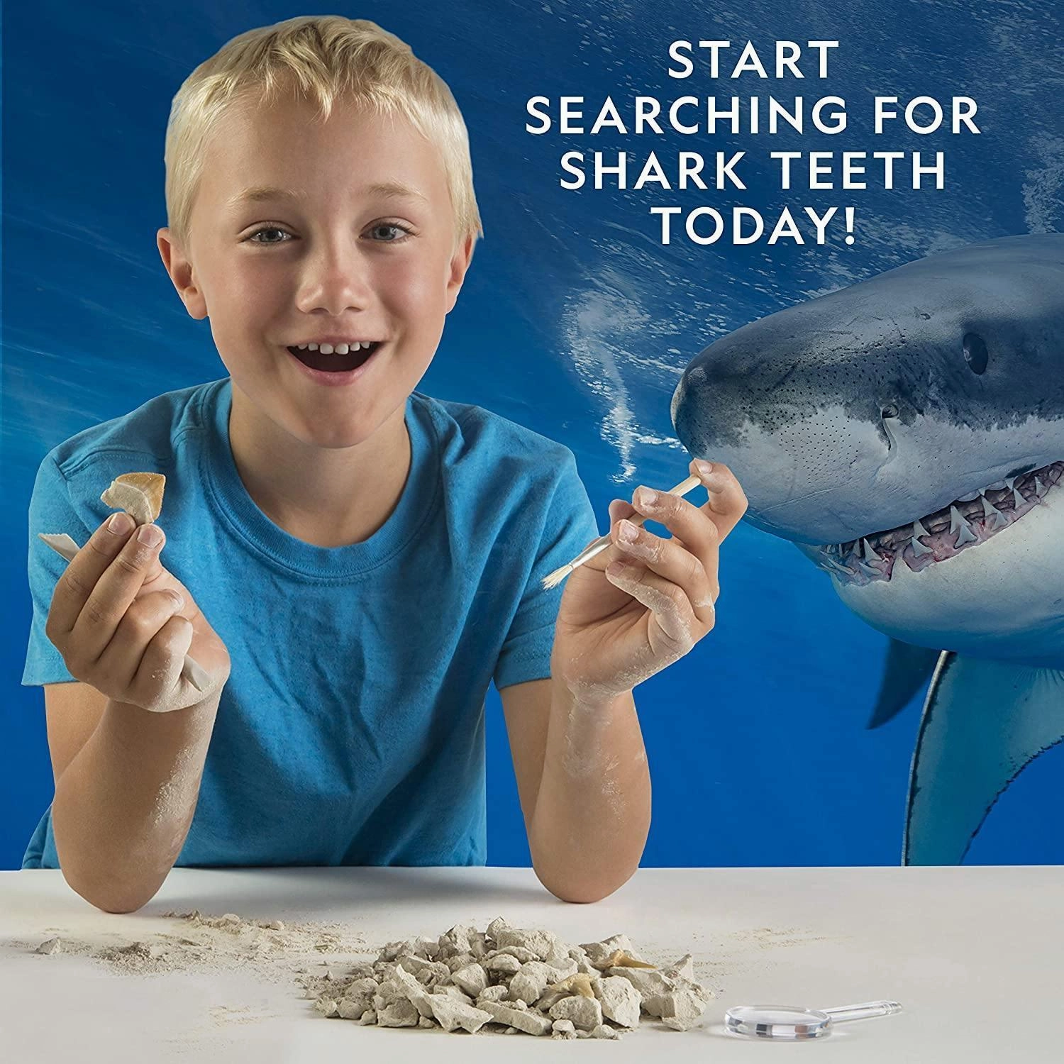 National Geographic Shark Tooth Mini Dig kit