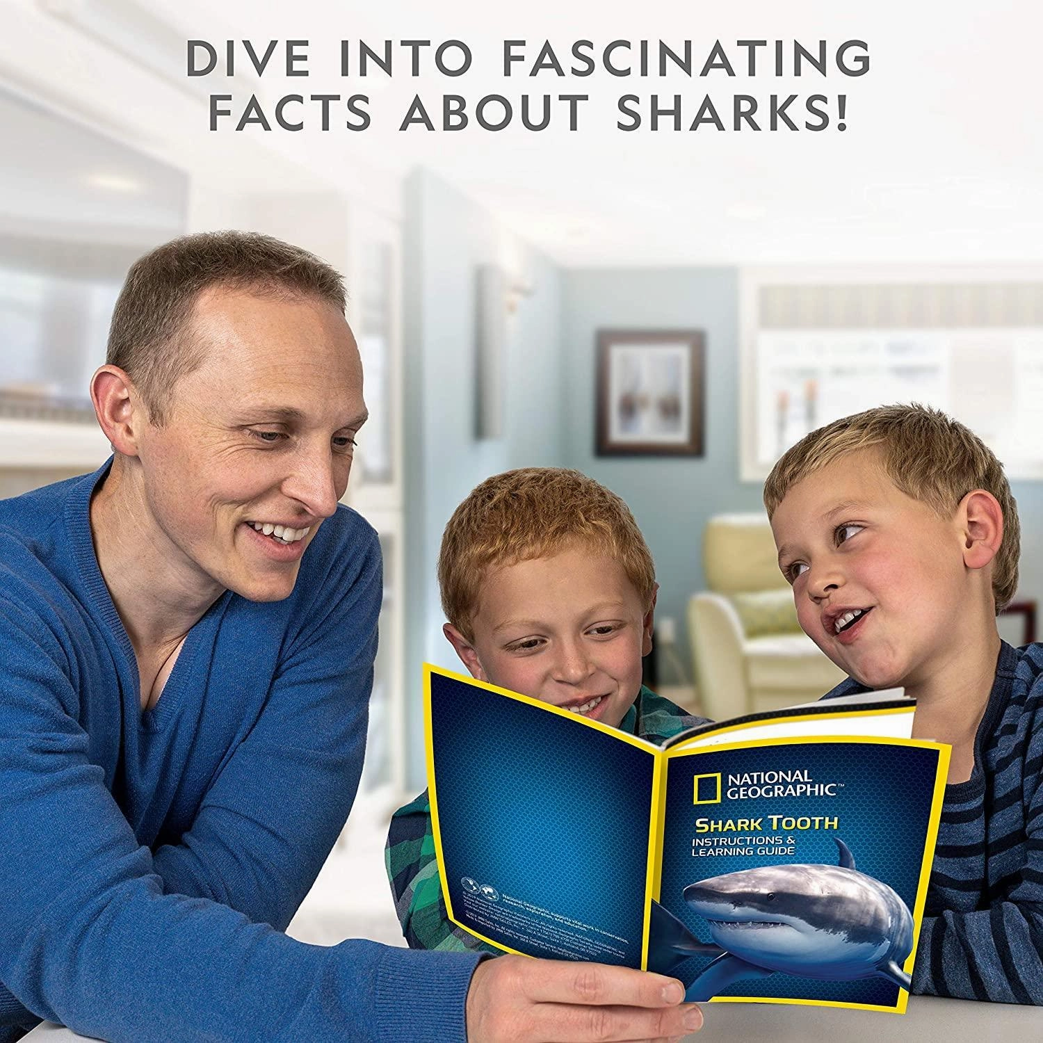 National Geographic Shark Tooth Mini Dig kit