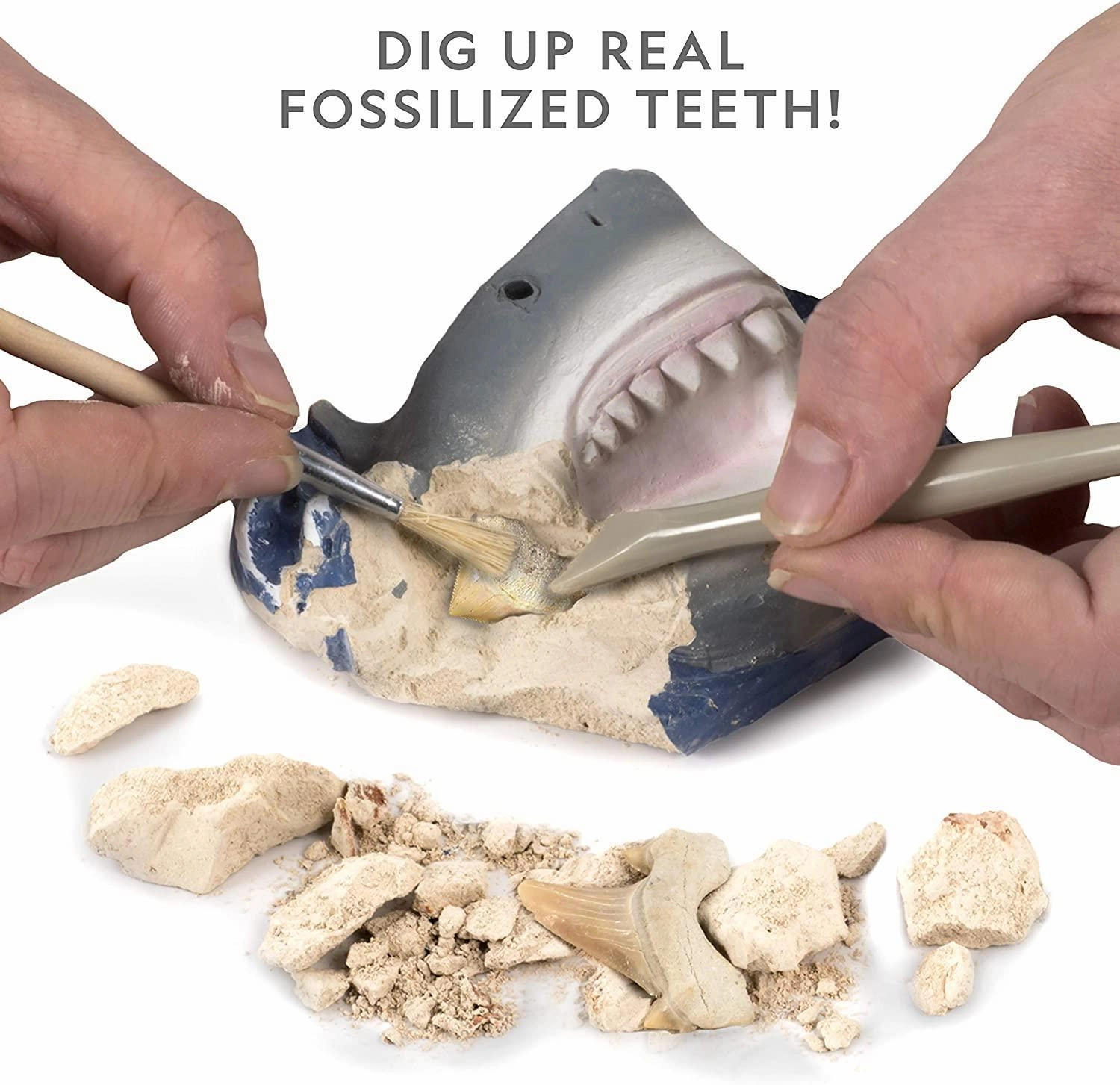 National Geographic Shark Tooth Mini Dig kit
