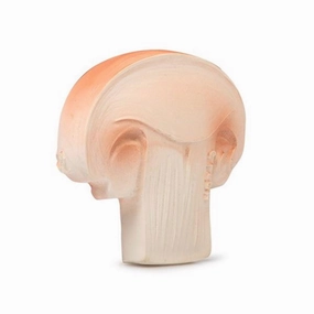 Oli & Carol Teether Mushroom Manolo