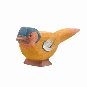Ostheimer Chaffinch Bird