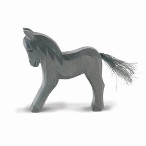 Ostheimer Charcoal Colt