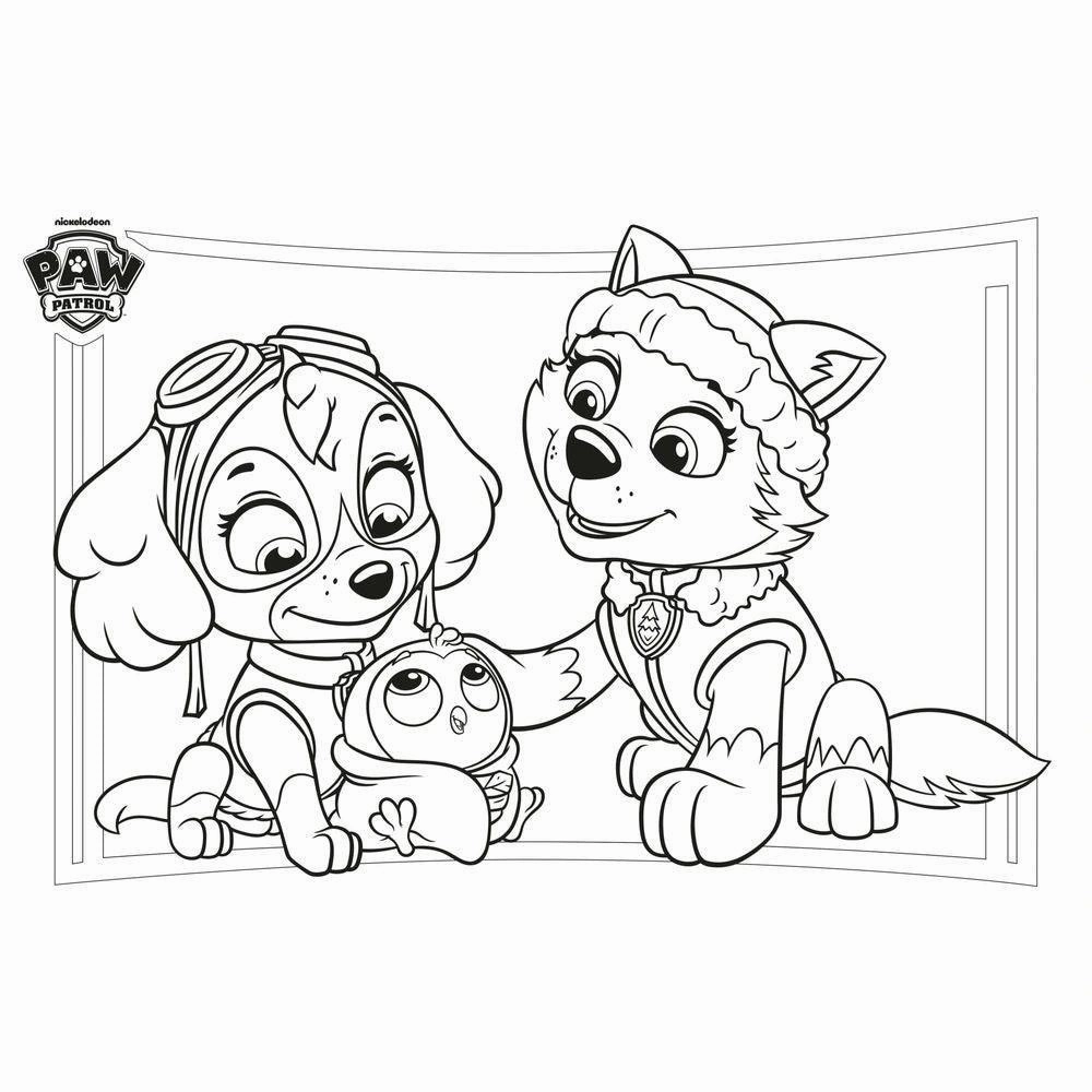 PAW Patrol Giant Activity and Colouring Pad