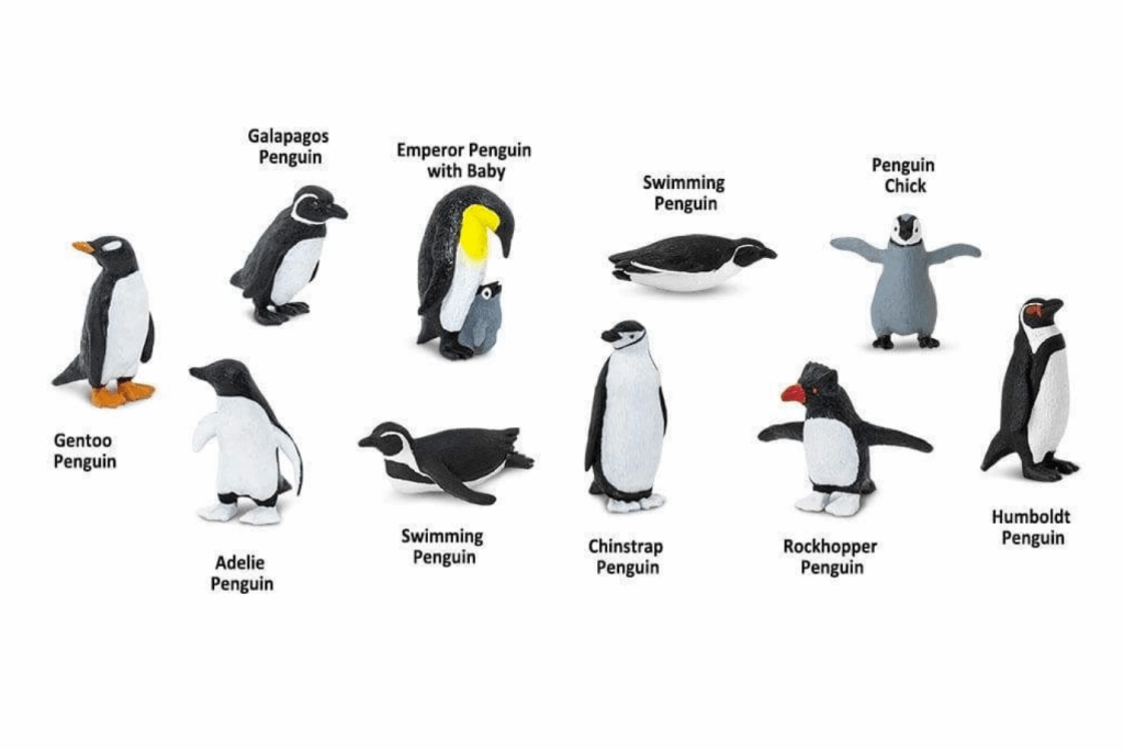 Penguins TOOB