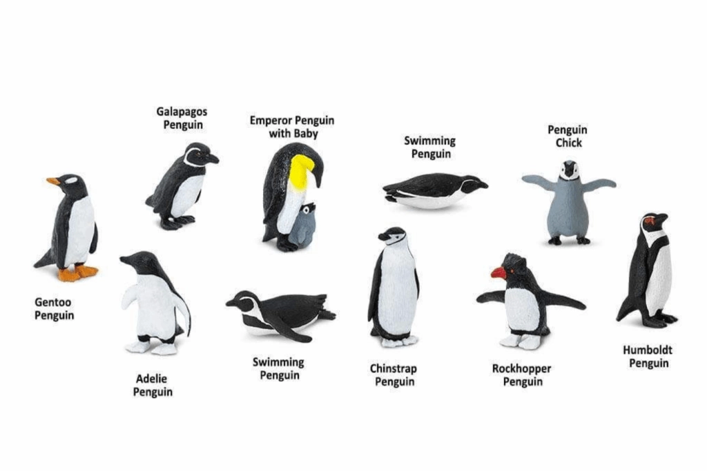 Penguins TOOB