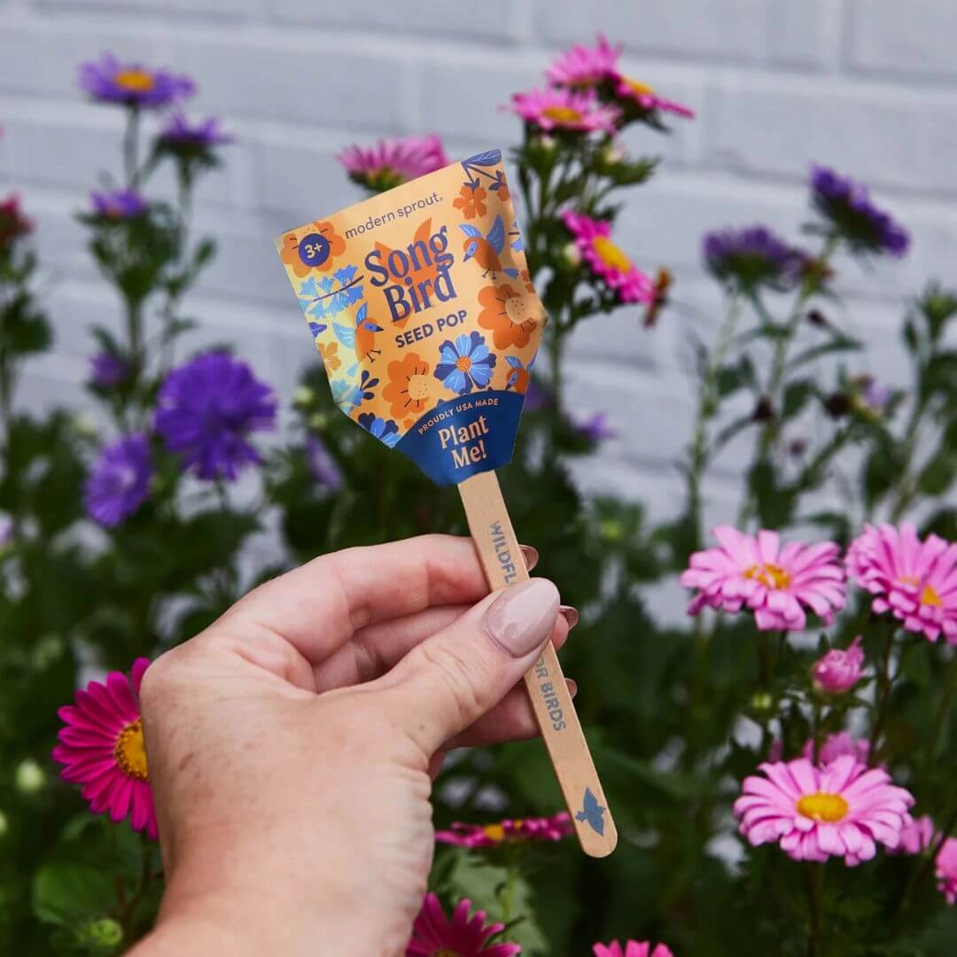 Pollinator Seed Pop