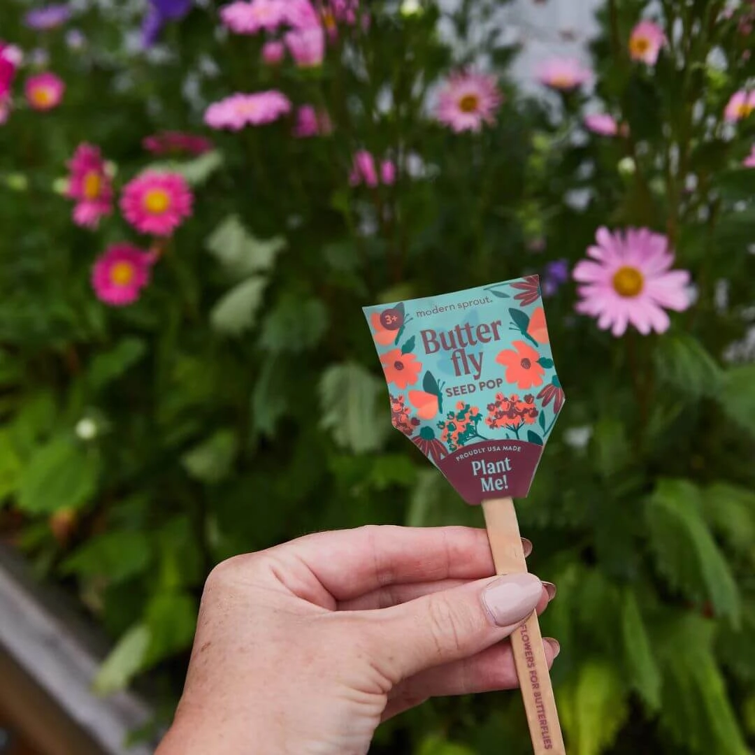 Pollinator Seed Pop