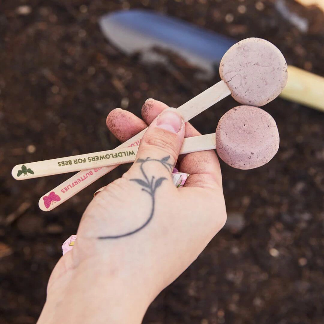 Pollinator Seed Pop