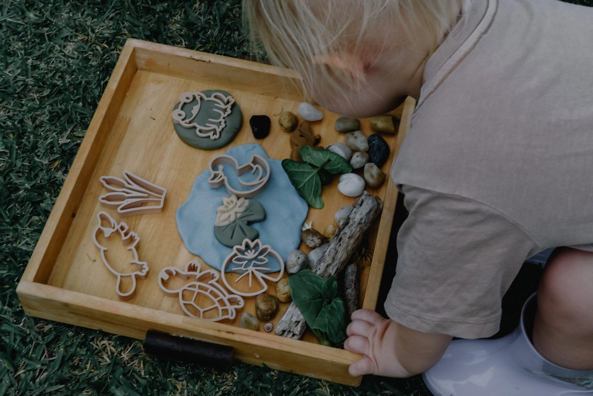 Pond Life Eco Cutter Set
