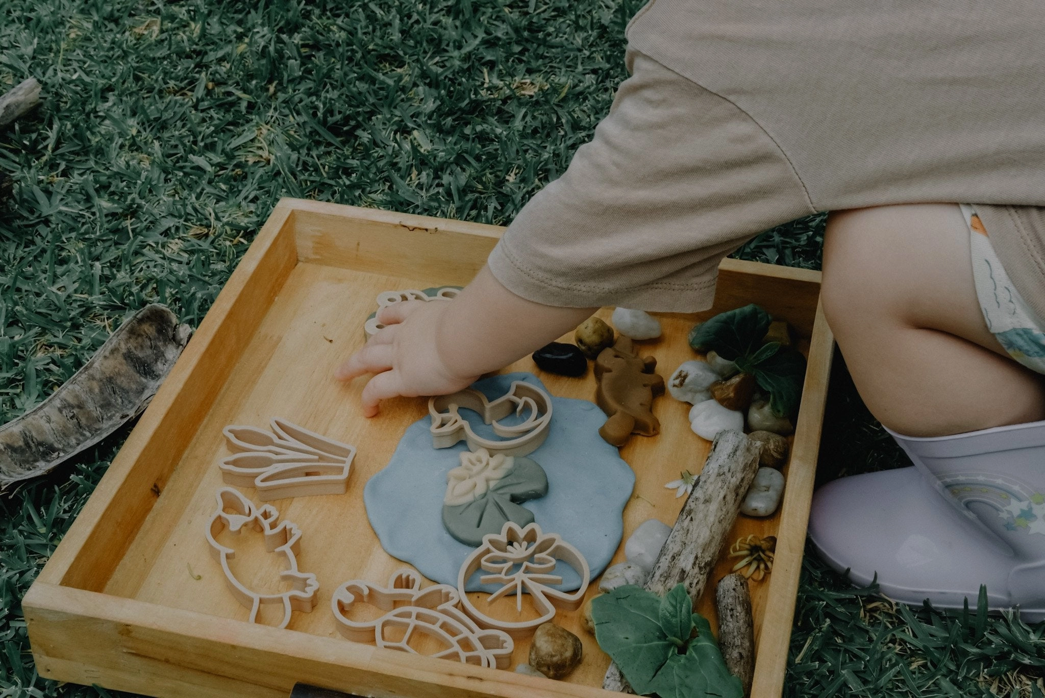 Pond Life Eco Cutter Set