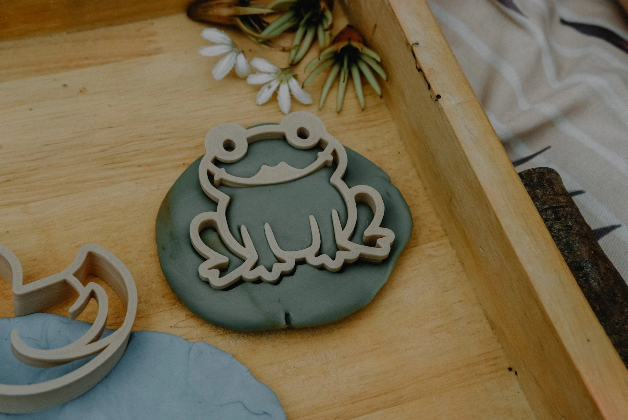 Pond Life Eco Cutter Set