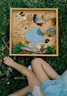 Pond Life Eco Cutter Set