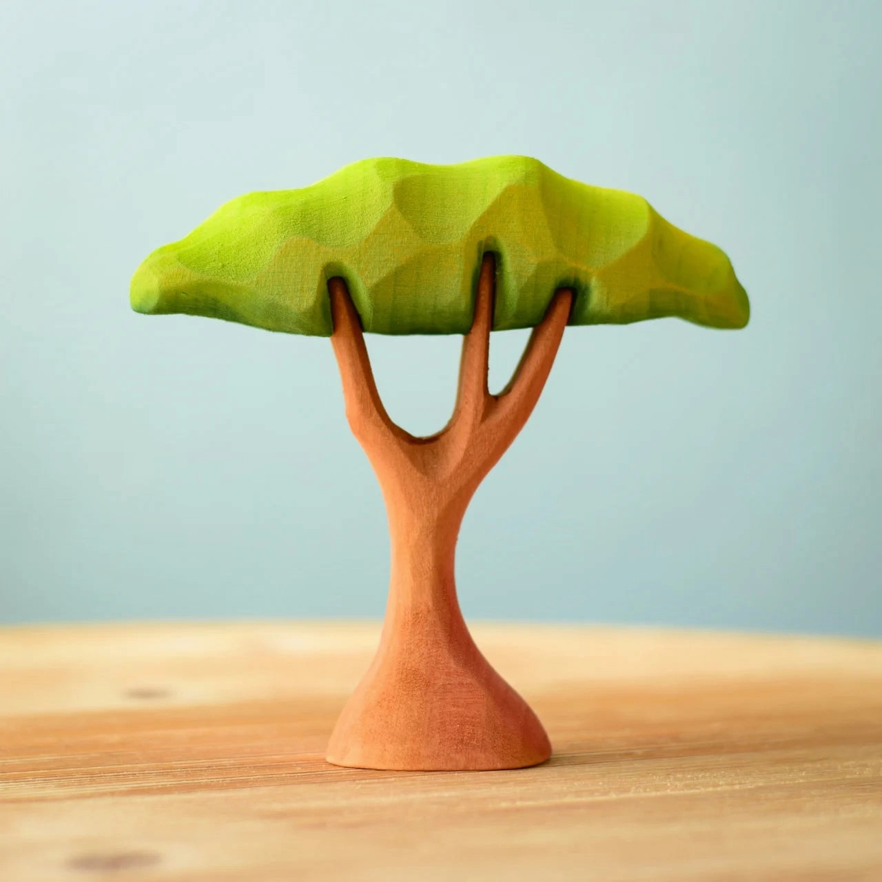 Pre-Order Bumbu Small Acacia Tree (Ships end of June)