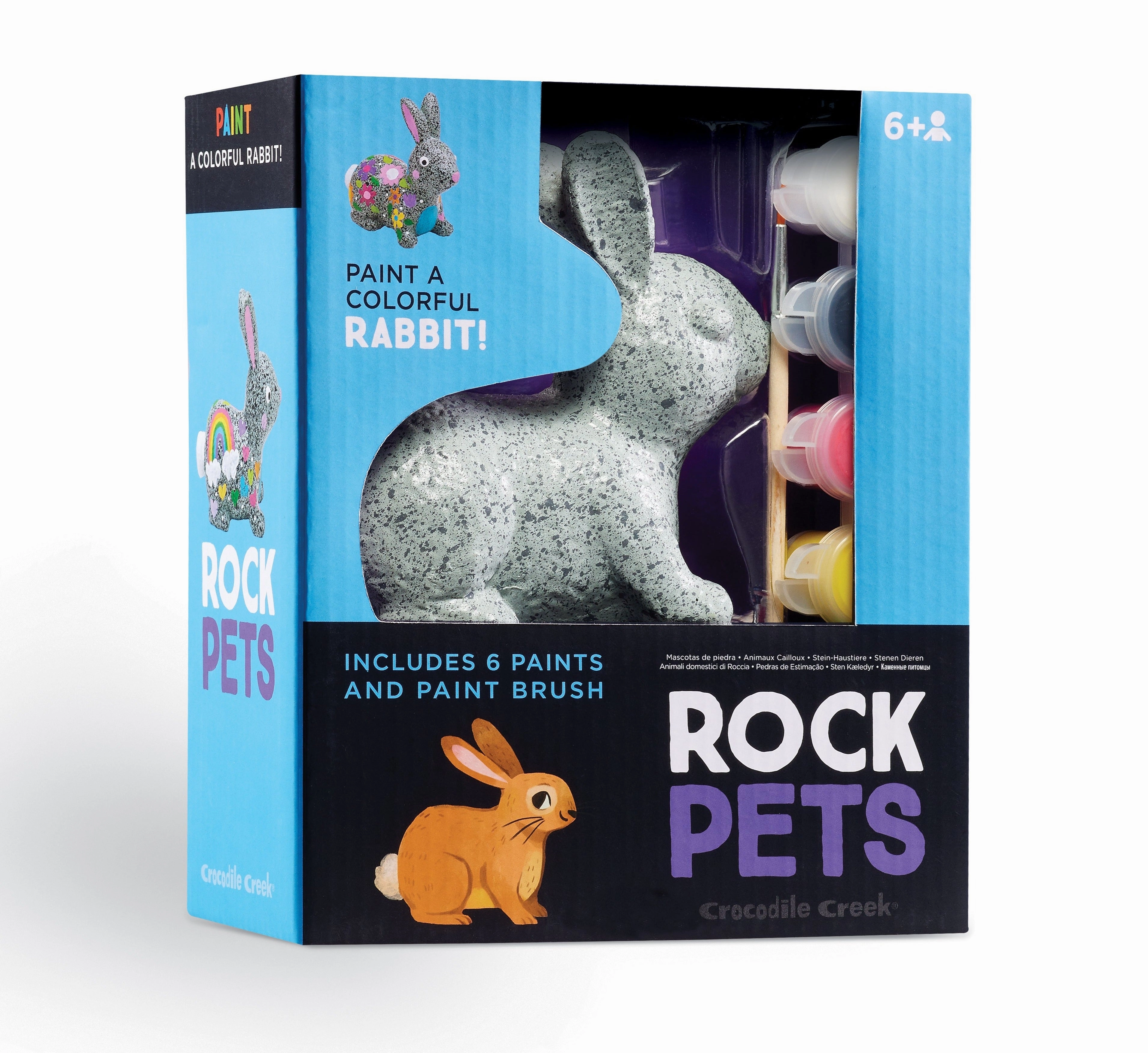 Rock Pets Painting Sets