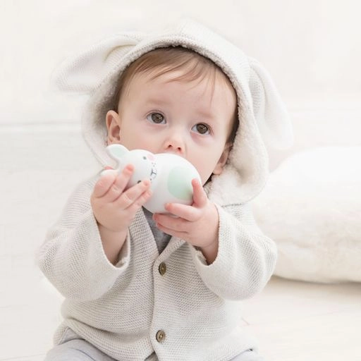 Rosa & Bo - Bo Bunny Chiming Shaker Mint