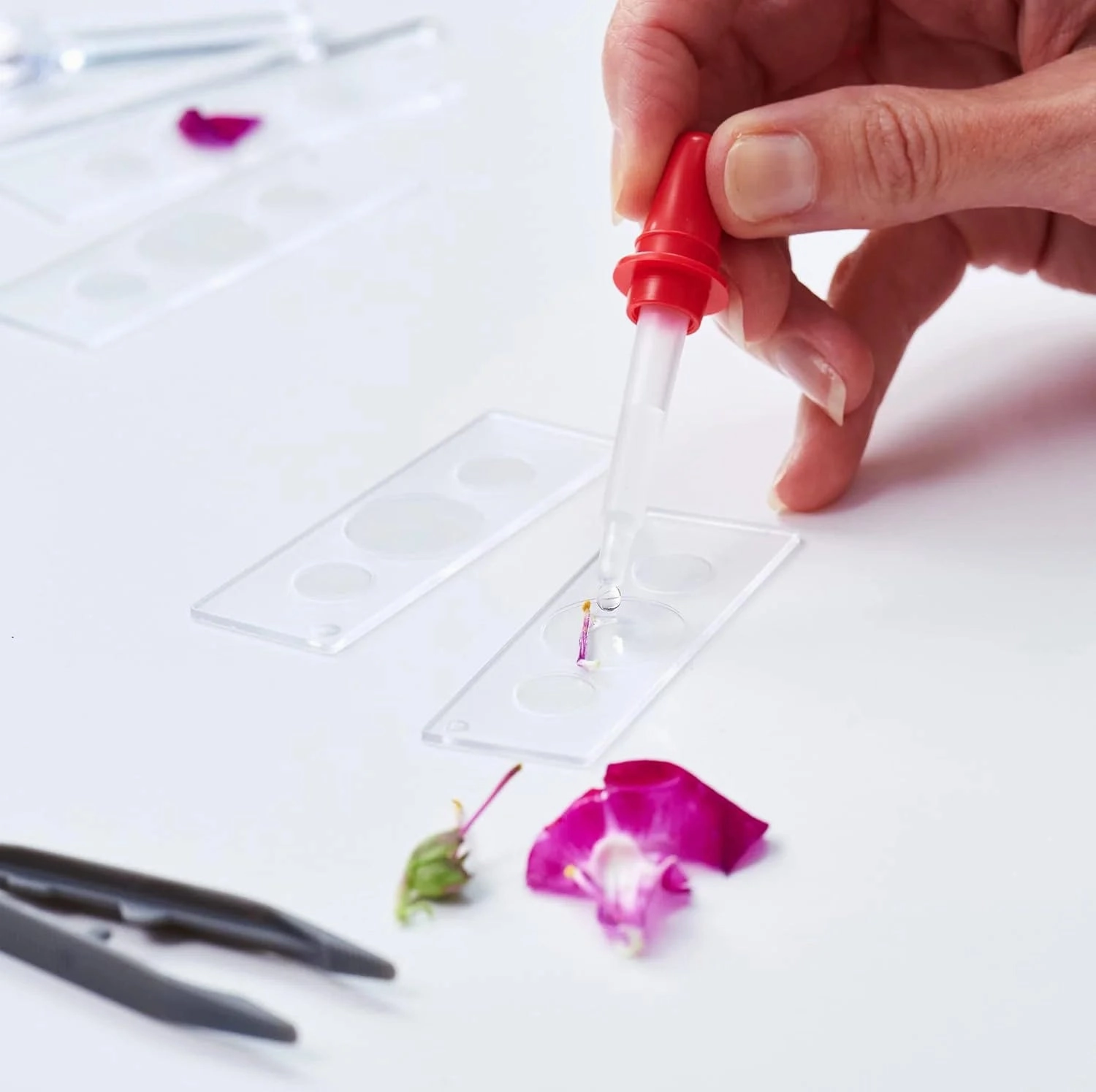 Science Mad 100x Microscope - 30 Piece Set