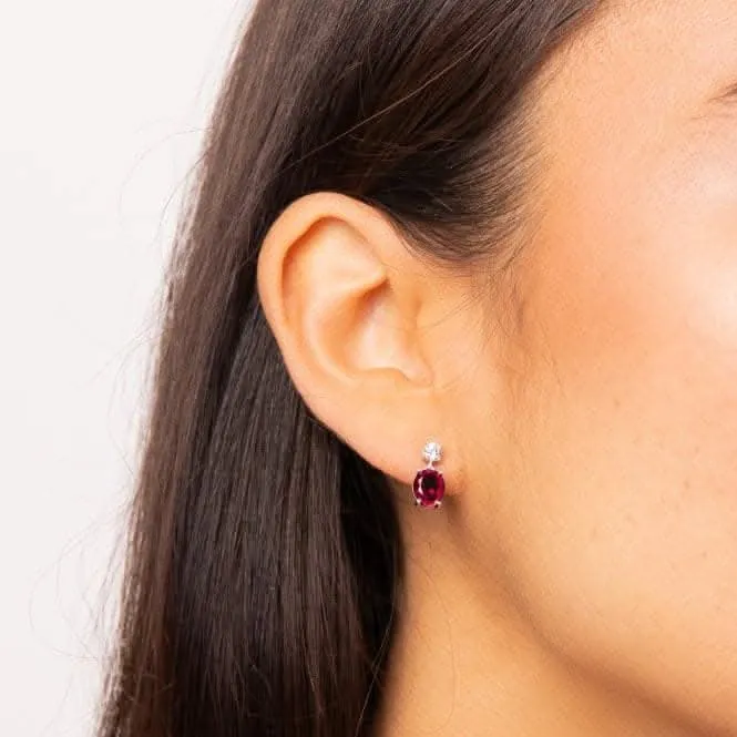 Sterling Silver Red and Clear Cubic Zirconia Earrings E6399 Diamonfire Jewellery