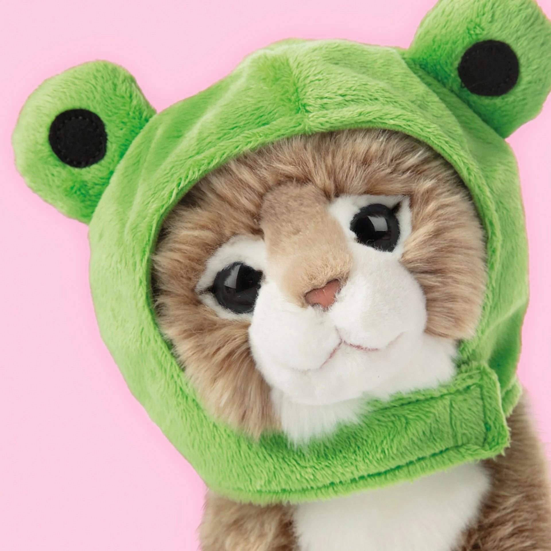 Studio Pets Prince 23cm Cat Plush
