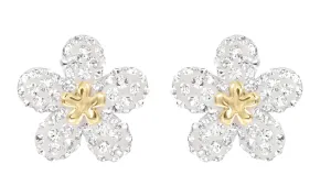 Swarovski Jewellery Tough Stud Earrings