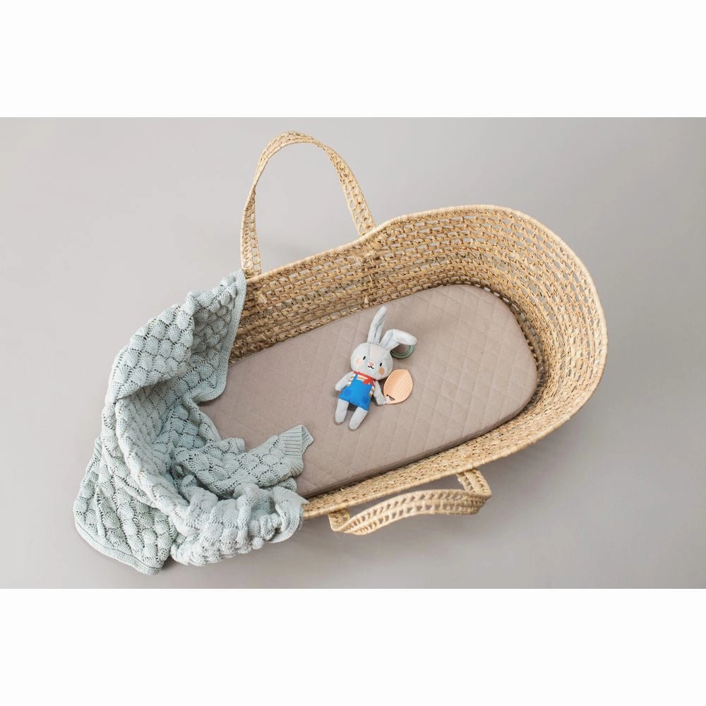 Taf Toys Rylee the Bunny