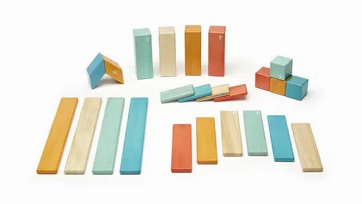 Tegu 24-Piece Magnetic Wooden Block Set