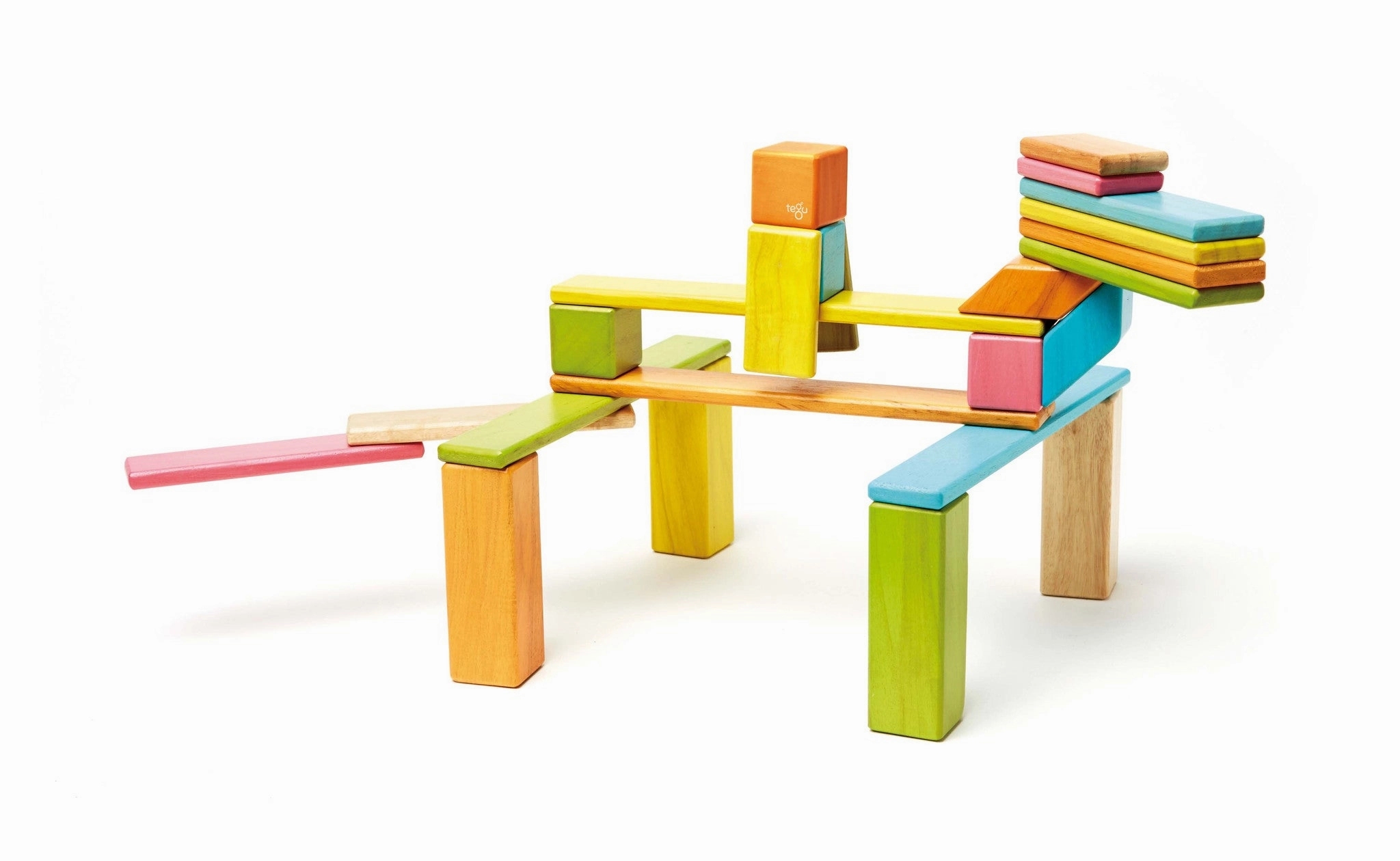 Tegu 24 Piece (Tint)