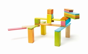 Tegu 24 Piece (Tint)