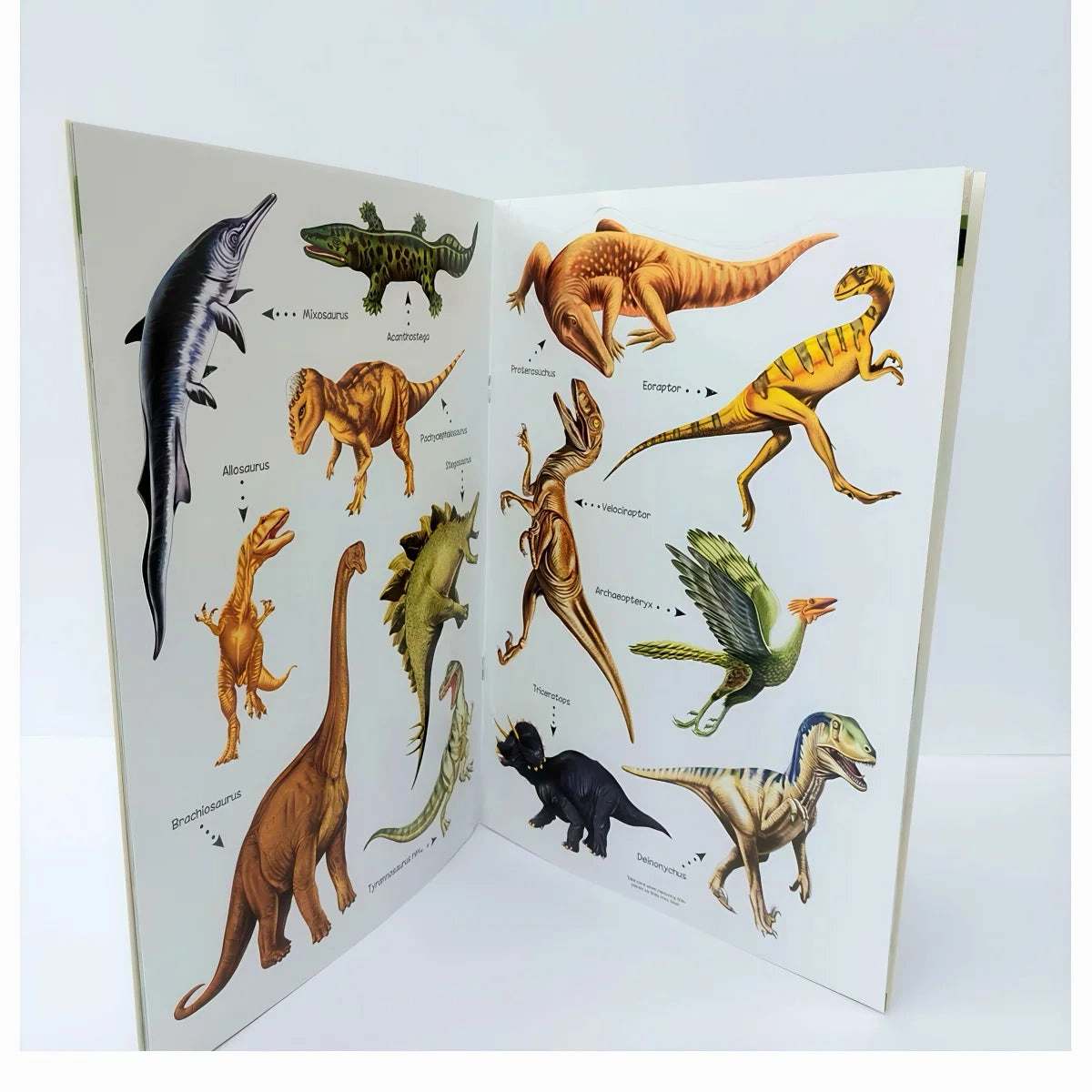 The Amazing Dinosaur Sticker Book