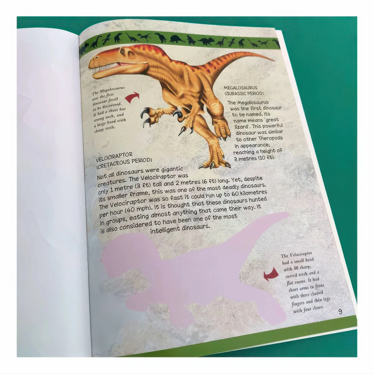 The Amazing Dinosaur Sticker Book