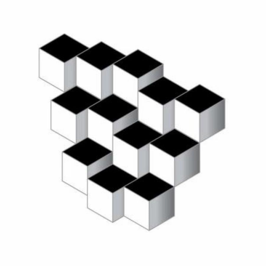 The Happy Puzzle Company - Illusion Cubes