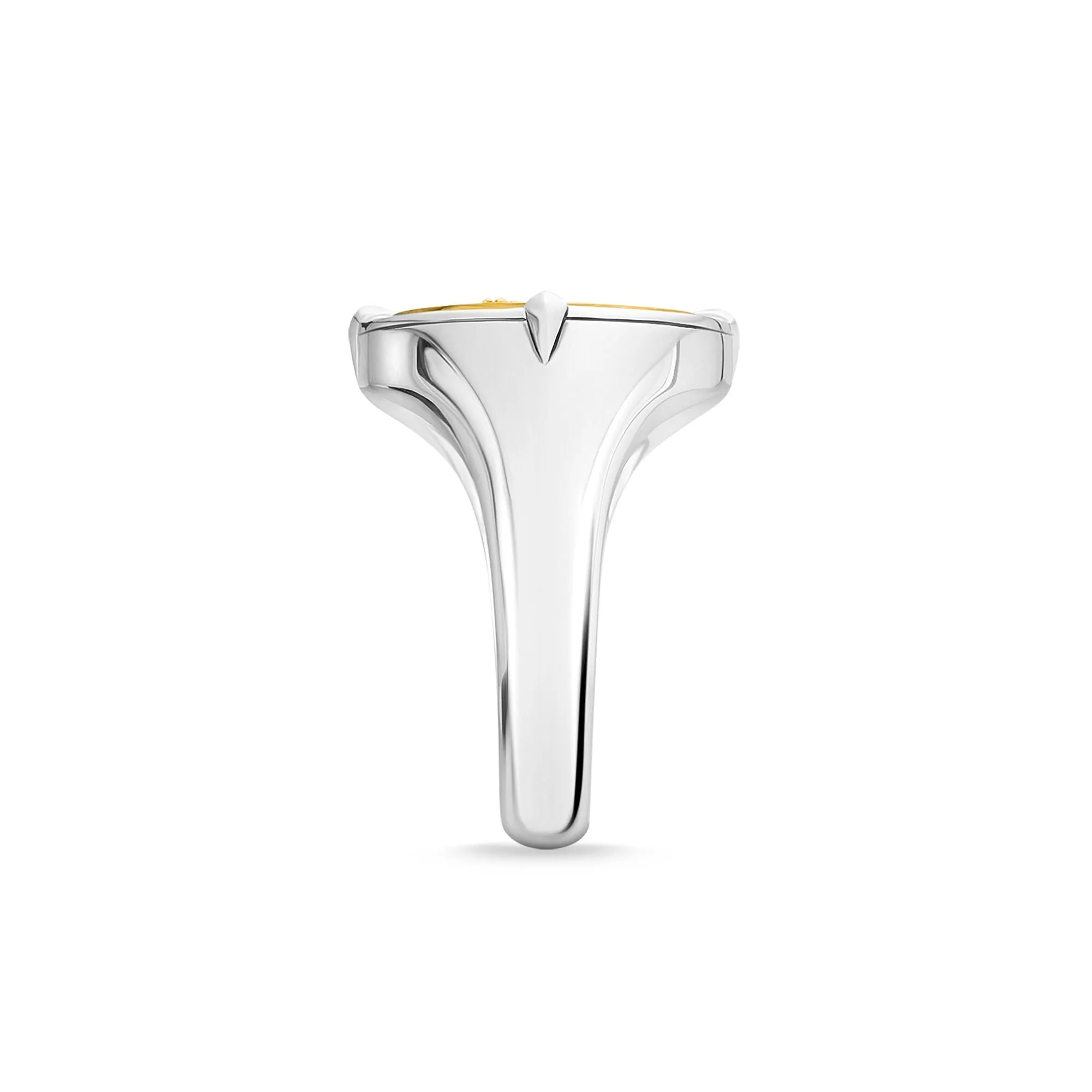 Thomas Sabo Jewellery Thomas Sabo Rebel At Heart Sterling Silver Yellow Gold Plated Black CZ Signet Ring