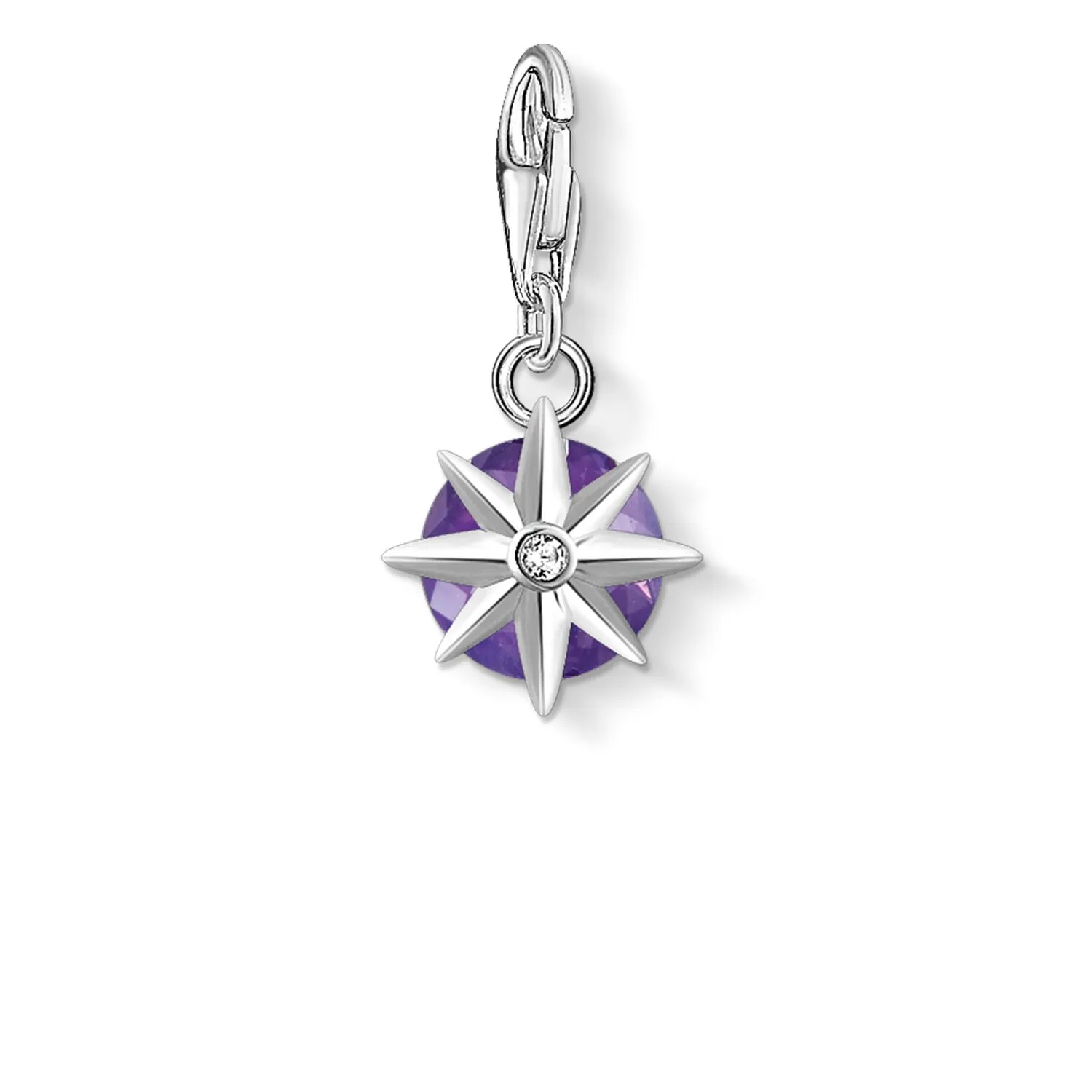 Thomas Sabo Womens Charms Jewellery Charm Pendant Birth Stone February