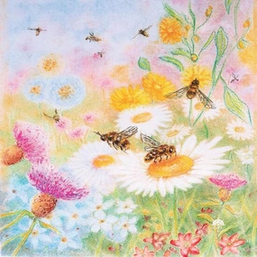 Toverlux Kapitein Kalk Silhouette, Bee Pastures