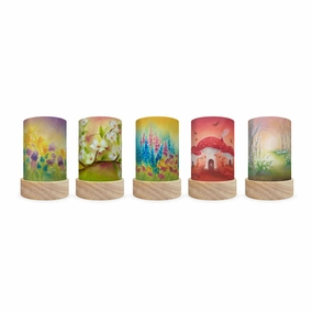 Toverlux Lantern Shades, Baukje Exler Shade Set 1 , Seasons, Set of 5